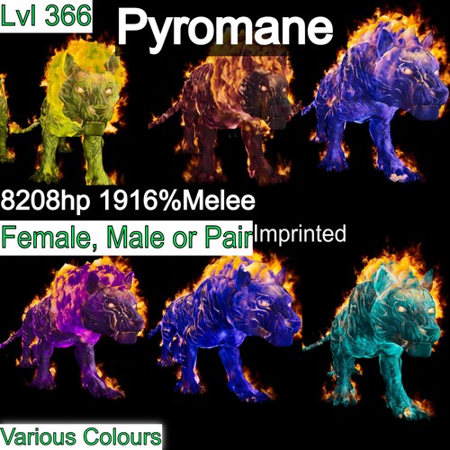 Piromane pyro 1916 mischia - piromane, 1916%